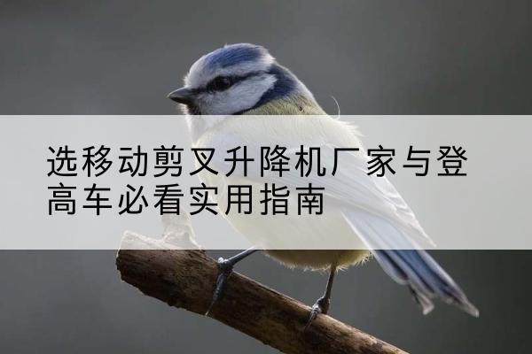 盐亭电动升降机厂家-选移动剪叉升降机厂家与登高车必看实用指南