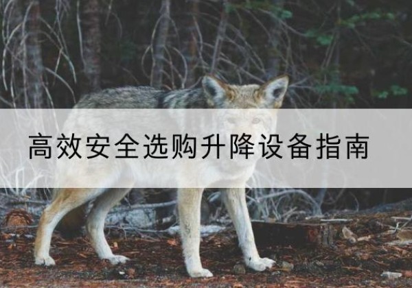 盐亭升降货梯厂家推荐-*安全选购升降设备指南