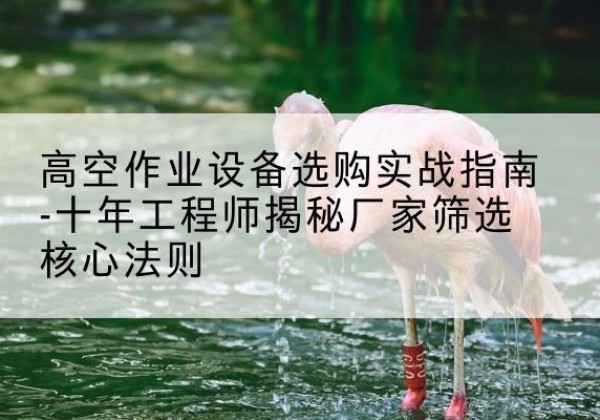 盐亭剪叉式升降机厂家-高空作业设备选购实战指南-十年工程师揭秘厂家筛选核心法则